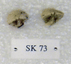 SK 73