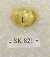 SK 821