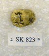 SK 823