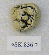 SK 836