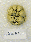 SK 871