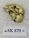 SK 879
