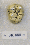 SK 880