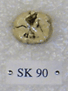 SK 90