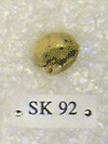 SK 92