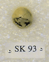 SK 93