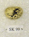 SK 99