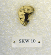 SKW 10