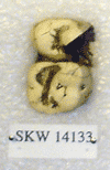 SKW 14133