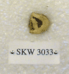 SKW 3033