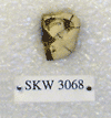 SKW 3068