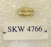 SKW 4766