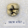 SKW 4767