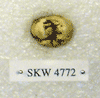 SKW 4772