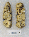 STS 53