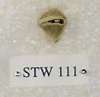 STW 111