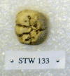 STW 133