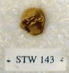 STW 143