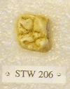 STW 206
