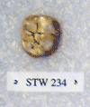 STW 234