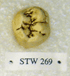 STW 269