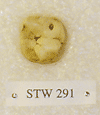 STW 291