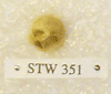 STW 351