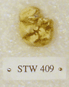 STW 409