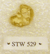 STW 529
