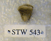STW 543