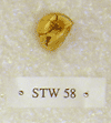STW 58