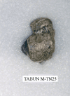 TABUN M-TN25