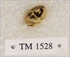 TM 1528