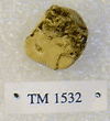 TM 1532