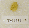 TM 1534