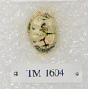 TM 1604