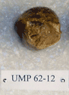UMP 62-12