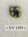 YV 1381