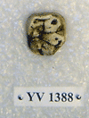 YV 1388