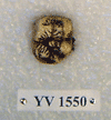 YV 1550