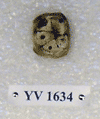 YV 1634