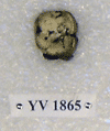 YV 1865