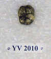 YV 2010