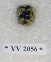 YV 2056