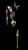 Bild: Y. Haile-Selassie, L. Russell / Cleveland Museum of Natural History, PNAS