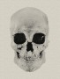 Bild: Zeichnung: Willig / evolution-mensch.de