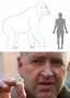Bild: oben: H. Bocherens, unten: Senckenberg