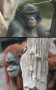 Bild: MPI f. evolutionäre Anthropologie