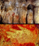 Bild: oben: P. Saura, unten: H. Collado