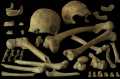 Bild: Royal Belgian Institute of Natural Sciences (RBINS)